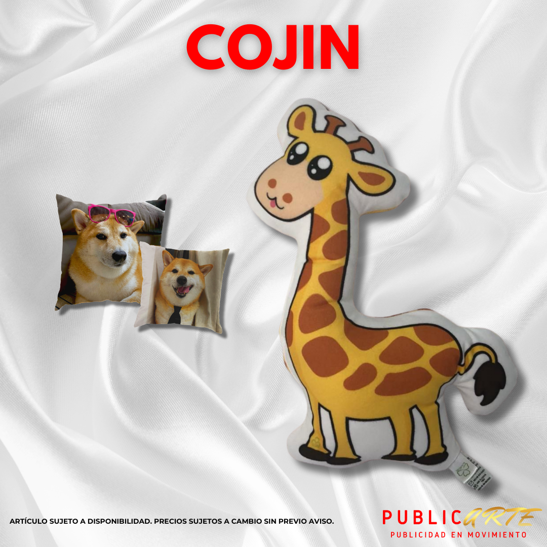 Cojin